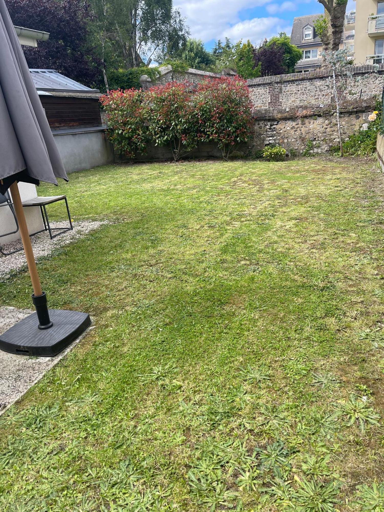Le Nid Douillet : Superbe Appartement + Jardin Privatif Ρουέν Εξωτερικό φωτογραφία